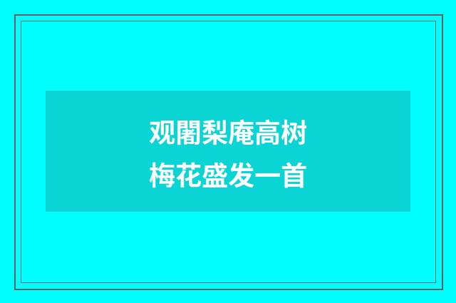观闍梨庵高树梅花盛发一首