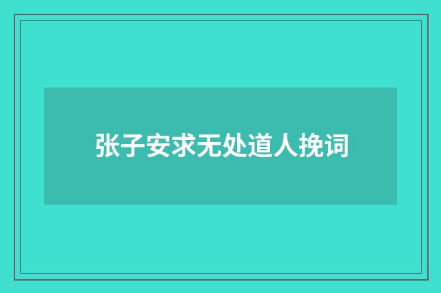 张子安求无处道人挽词