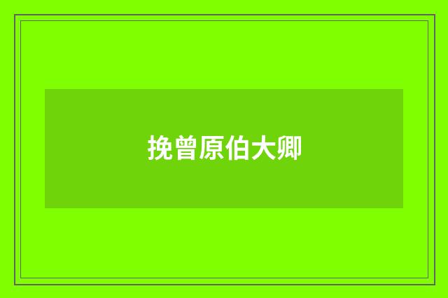 挽曾原伯大卿