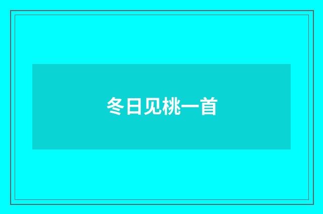 冬日见桃一首