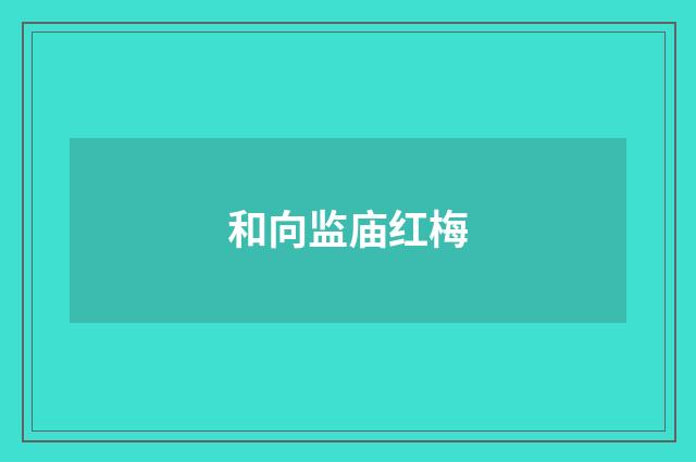 和向监庙红梅