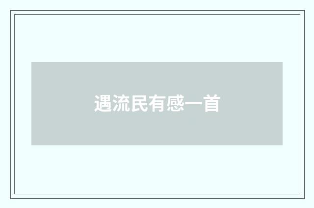 遇流民有感一首