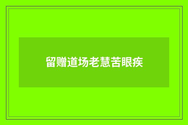 留赠道场老慧苦眼疾