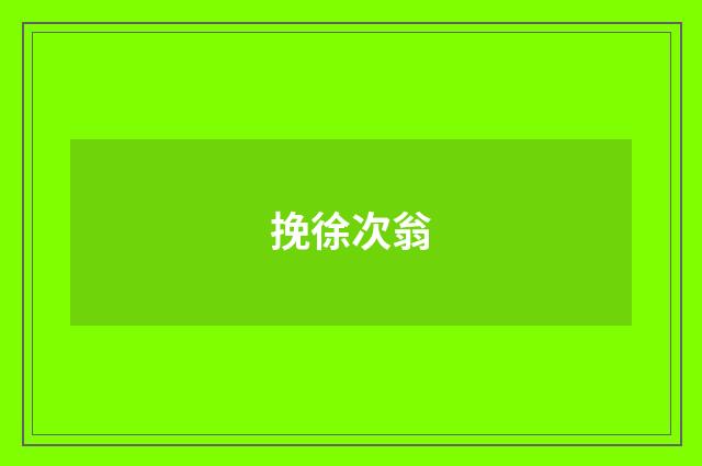 挽徐次翁