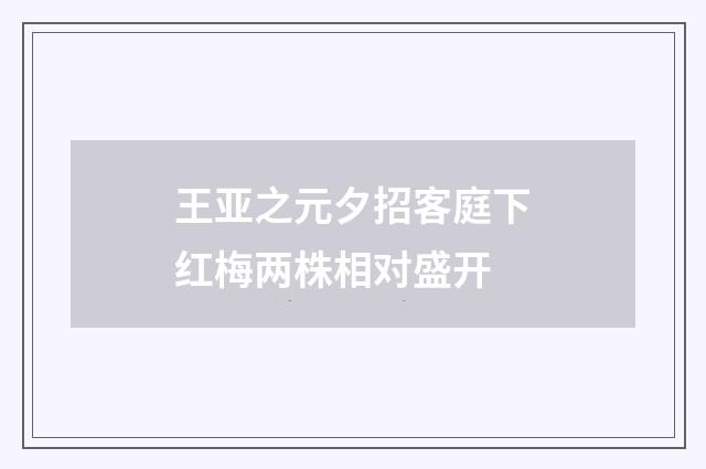 王亚之元夕招客庭下红梅两株相对盛开
