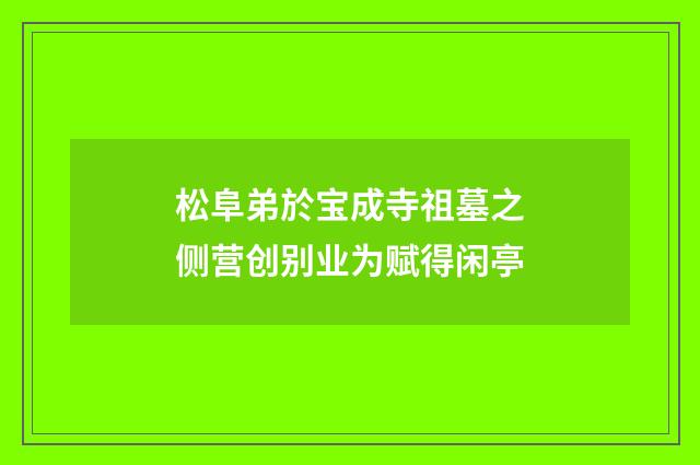松阜弟於宝成寺祖墓之侧营创别业为赋得闲亭