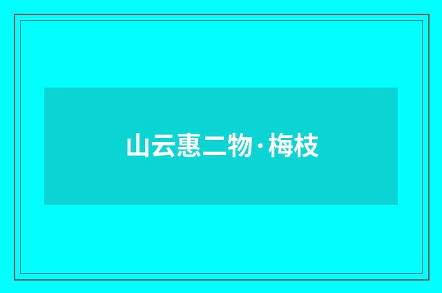 山云惠二物·梅枝