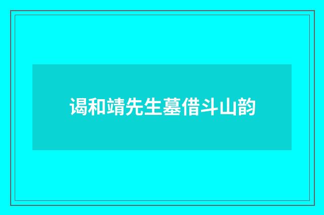 谒和靖先生墓借斗山韵