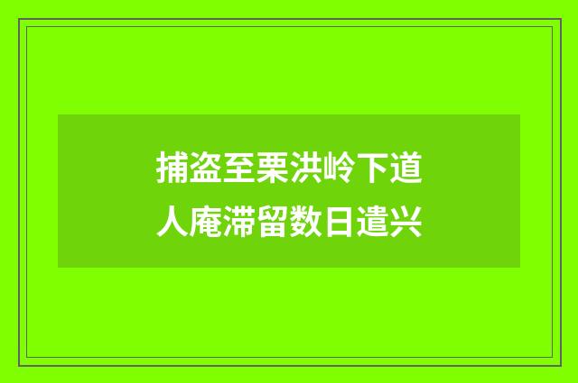 捕盗至栗洪岭下道人庵滞留数日遣兴
