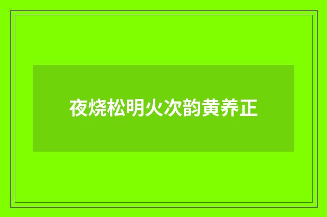 夜烧松明火次韵黄养正