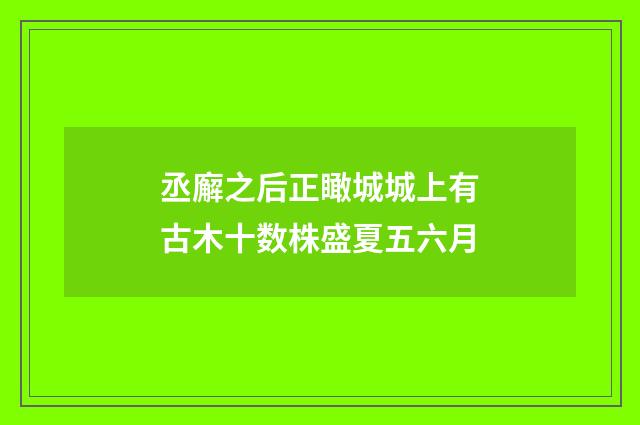 丞廨之后正瞰城城上有古木十数株盛夏五六月
