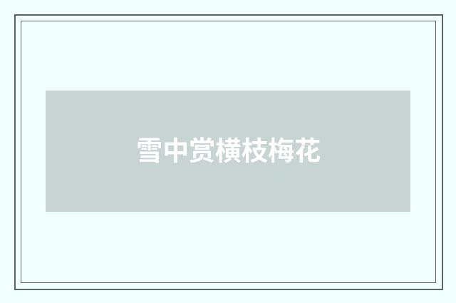 雪中赏横枝梅花