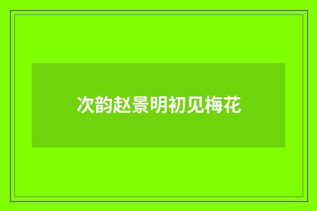 次韵赵景明初见梅花