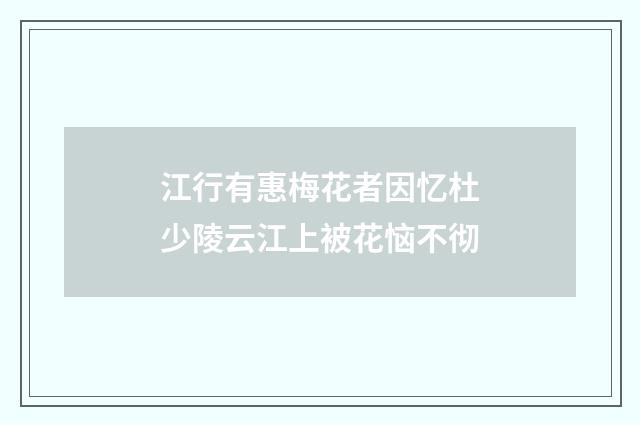 江行有惠梅花者因忆杜少陵云江上被花恼不彻
