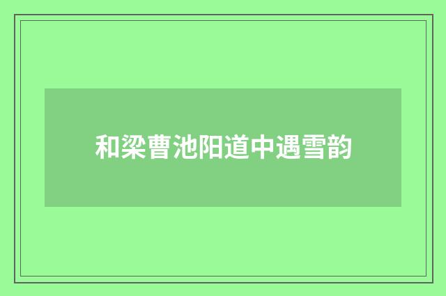 和梁曹池阳道中遇雪韵