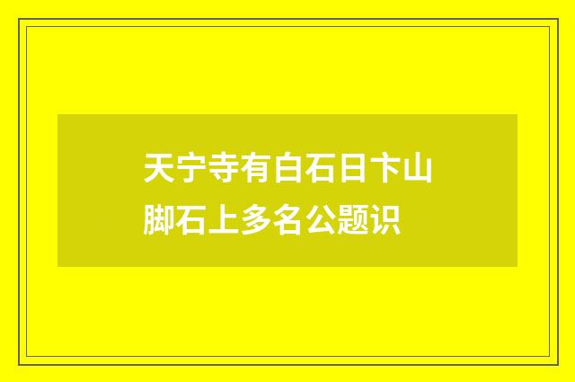 天宁寺有白石日卞山脚石上多名公题识