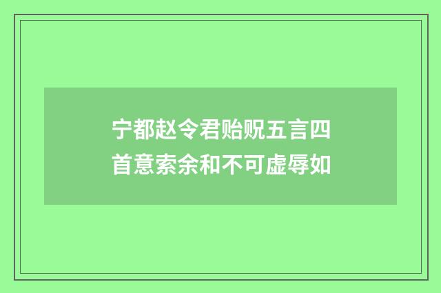 宁都赵令君贻贶五言四首意索余和不可虚辱如