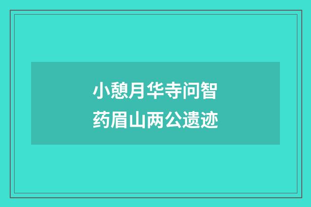 小憩月华寺问智药眉山两公遗迹