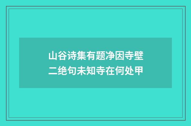 山谷诗集有题净因寺壁二绝句未知寺在何处甲