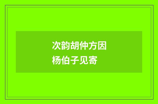 次韵胡仲方因杨伯子见寄