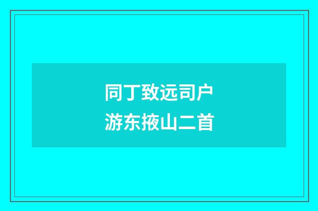 同丁致远司户游东掖山二首