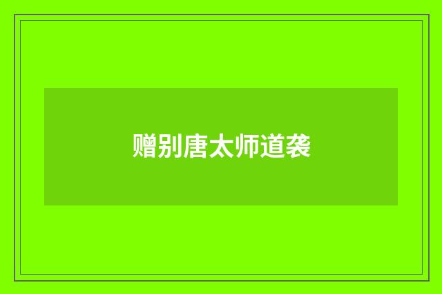 赠别唐太师道袭