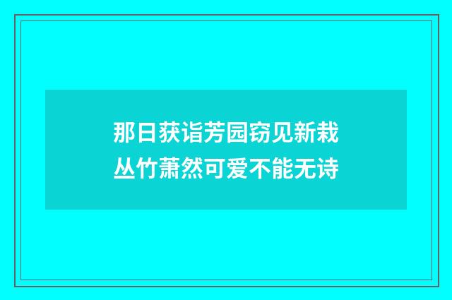 那日获诣芳园窃见新栽丛竹萧然可爱不能无诗