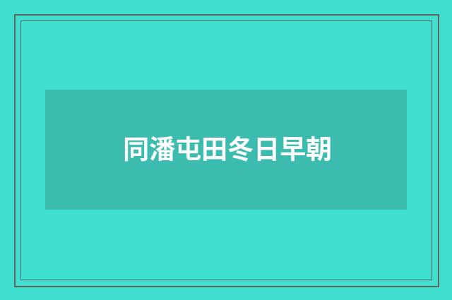 同潘屯田冬日早朝