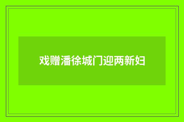 戏赠潘徐城门迎两新妇