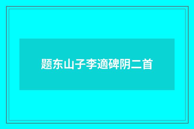 题东山子李適碑阴二首