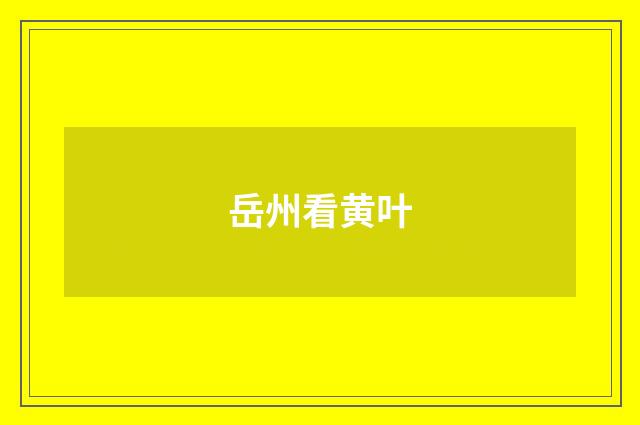 岳州看黄叶