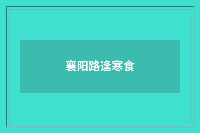 襄阳路逢寒食