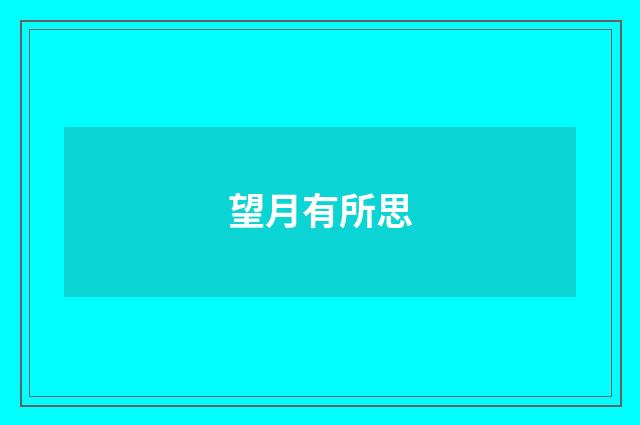 望月有所思