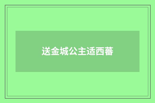 送金城公主适西蕃