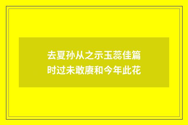 去夏孙从之示玉蕊佳篇时过未敢赓和今年此花
