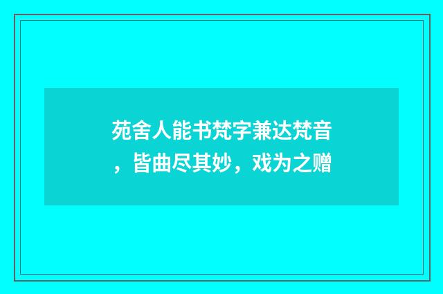 苑舍人能书梵字兼达梵音，皆曲尽其妙，戏为之赠