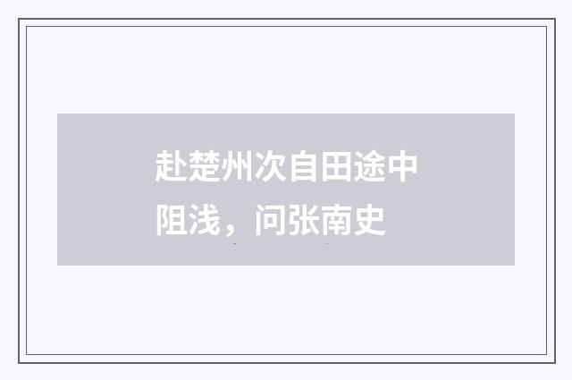 赴楚州次自田途中阻浅，问张南史
