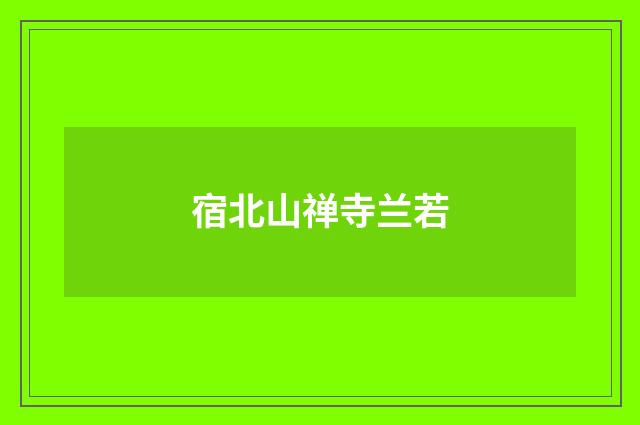 宿北山禅寺兰若