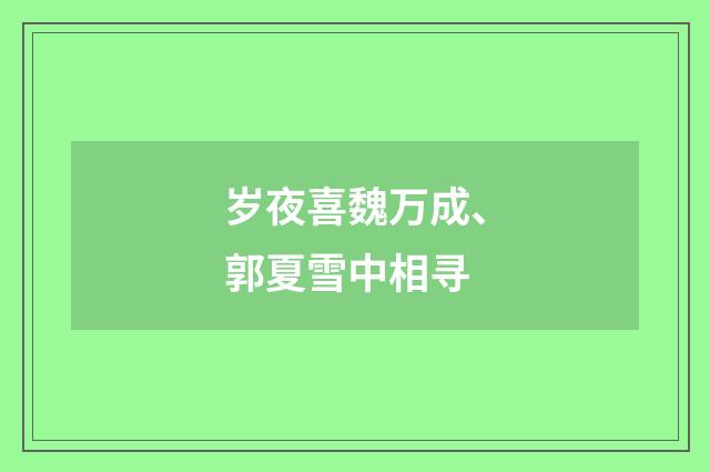 岁夜喜魏万成、郭夏雪中相寻