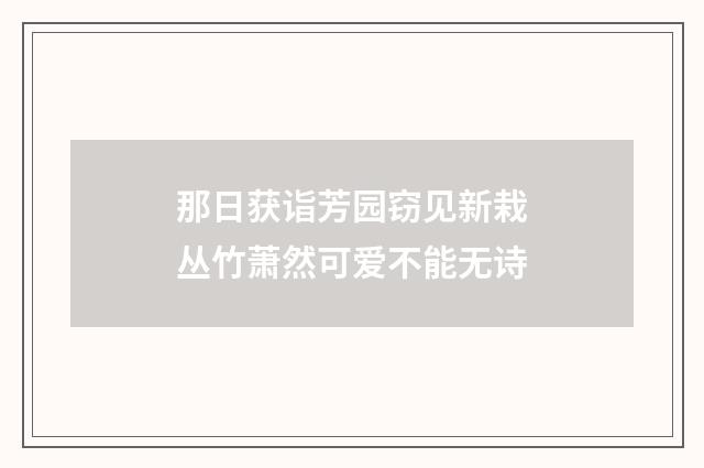 那日获诣芳园窃见新栽丛竹萧然可爱不能无诗