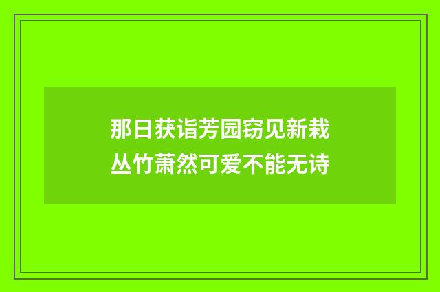 那日获诣芳园窃见新栽丛竹萧然可爱不能无诗