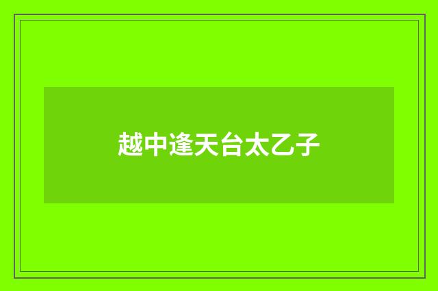 越中逢天台太乙子