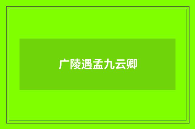 广陵遇孟九云卿
