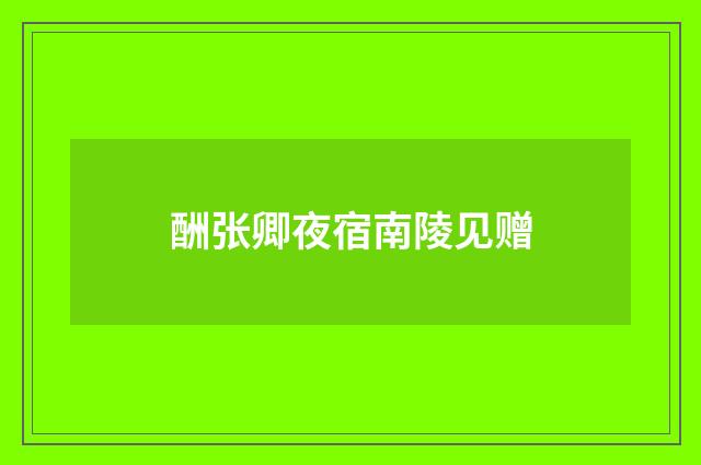 酬张卿夜宿南陵见赠