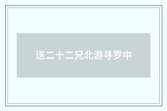 送二十二兄北游寻罗中