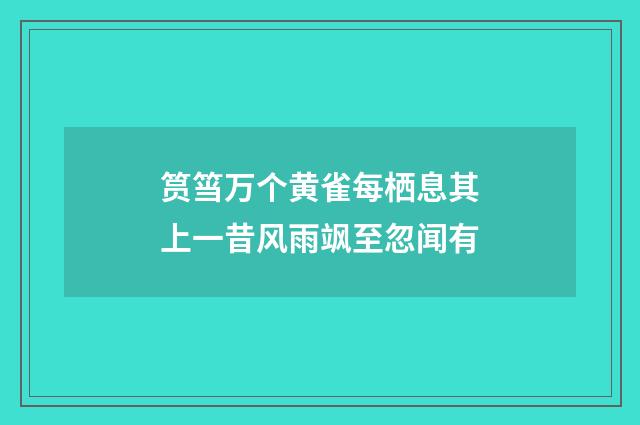 筼筜万个黄雀每栖息其上一昔风雨飒至忽闻有