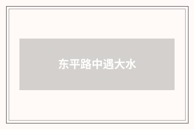 东平路中遇大水