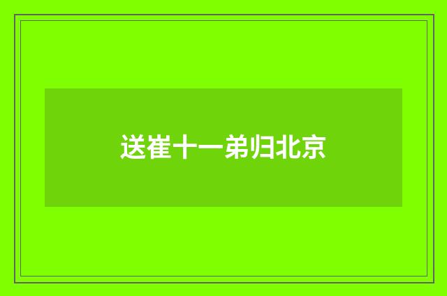 送崔十一弟归北京