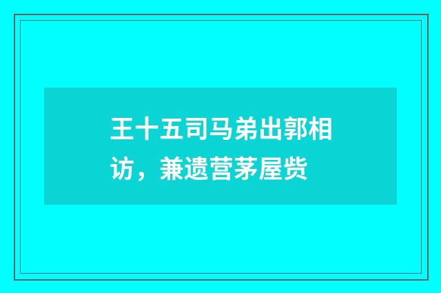 王十五司马弟出郭相访，兼遗营茅屋赀