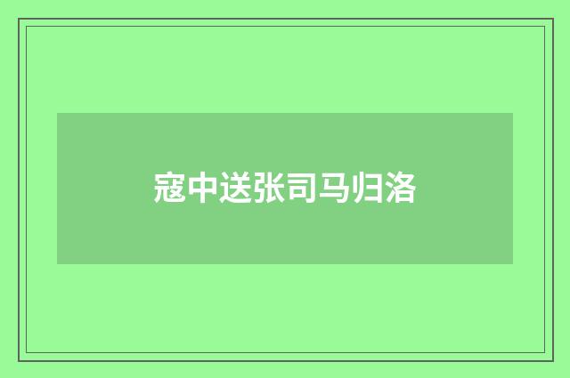 寇中送张司马归洛